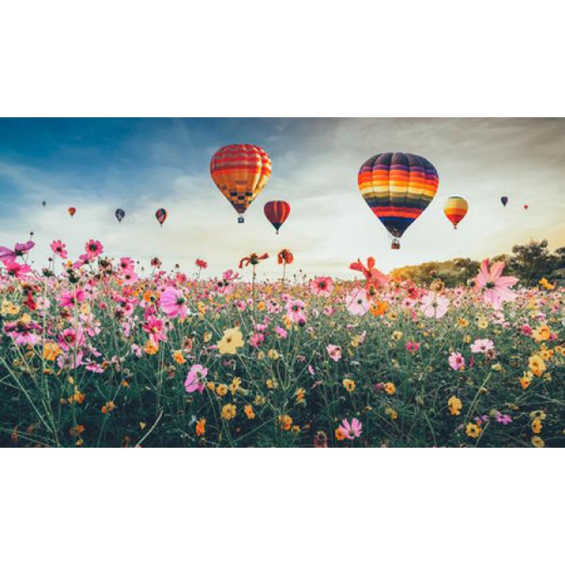 PUZ 1000P CHAMP MONTGOLFIERE