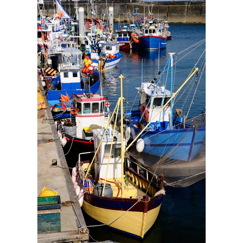 PUZ 1000P PORT DE QUIBERON