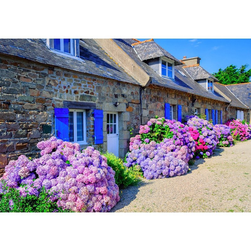 PUZ 1000 MAISON TRADI BRETAGNE