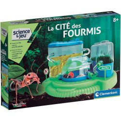 LE MONDE DES FOURMIS