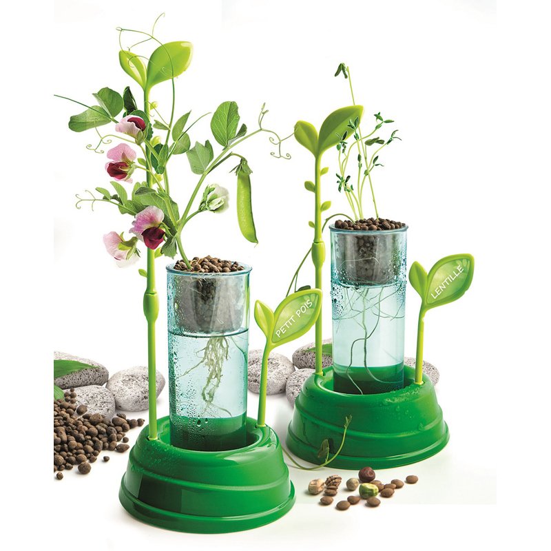 BOTANIQUE ET HYDROPONIE