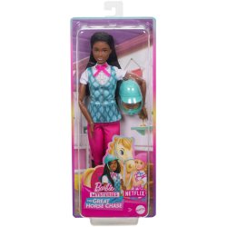 Barbie Riding Doll "Brooklyn" HXJ39