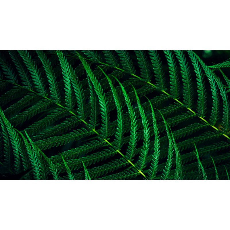 Philips 5000 series 27B2G5601/00 écran plat de PC 68,6 cm (27") 2560 x 1440 pixels Quad HD LCD Noir