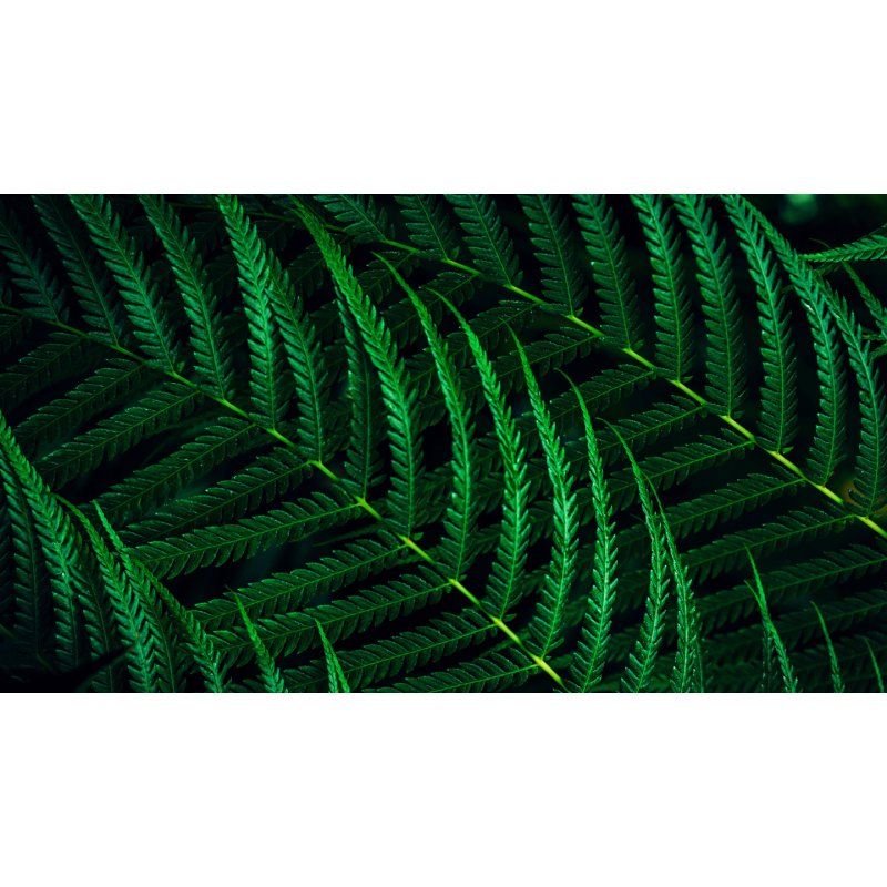 Philips 5000 series 24B2G5301/00 computer monitor 60.5 cm (23.8") 1920 x 1080 pixels Full HD LCD Black