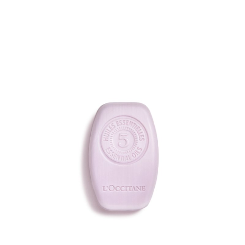L'Occitane Gentle & Balance Solid Shampoo 60g