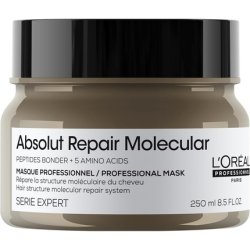 L'Oréal Professional Absolut Repair Molecular Rinse-Off Hair Mask Conditioner for Extra Detangling 250ml