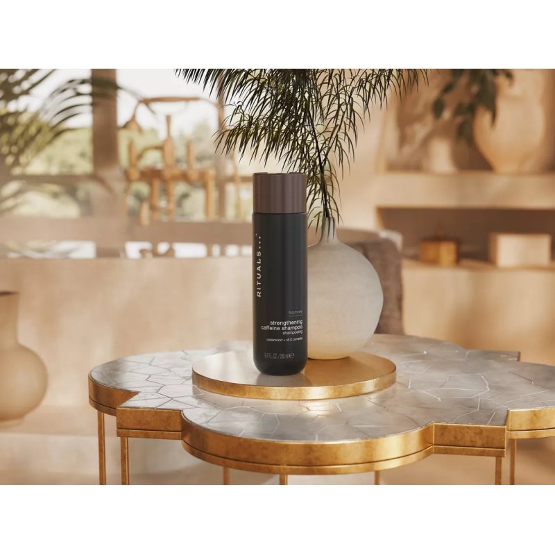 Rituals Homme 8719134163063 shampooing 250 ml Shampoing Non-professionnel Hommes