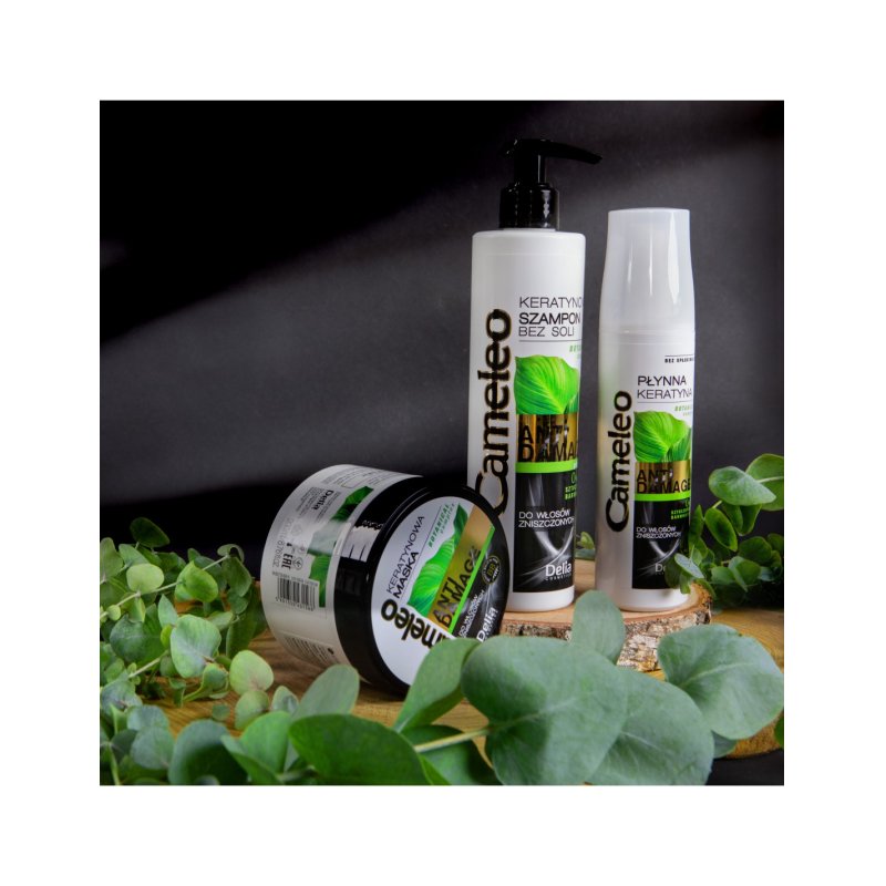 Cameleo Keratin Mask for Extremely Damaged Hair Regenerating Nourishing Moisturising Repair Treatment Biomimetic