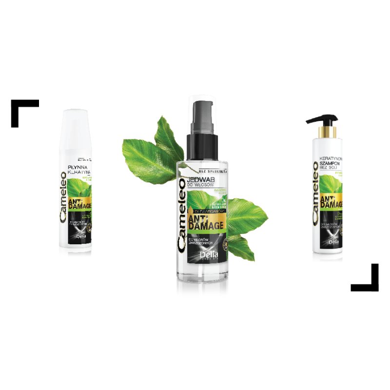 Delia Cosmetics Cameleo Anti-Damage 250 ml Shampoing Non-professionnel Femmes