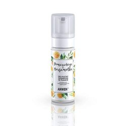 ANWEN Orange & Bergamot Foam Shampoo for Normal and Oily Scalp 170ml