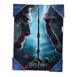 HARRY POTTER - Impression en Verre - Harry / Voldemort - 30X40 Cm