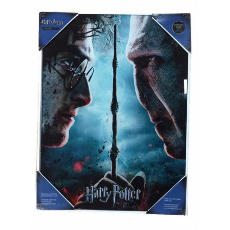 HARRY POTTER - Impression en Verre - Harry / Voldemort - 30X40 Cm