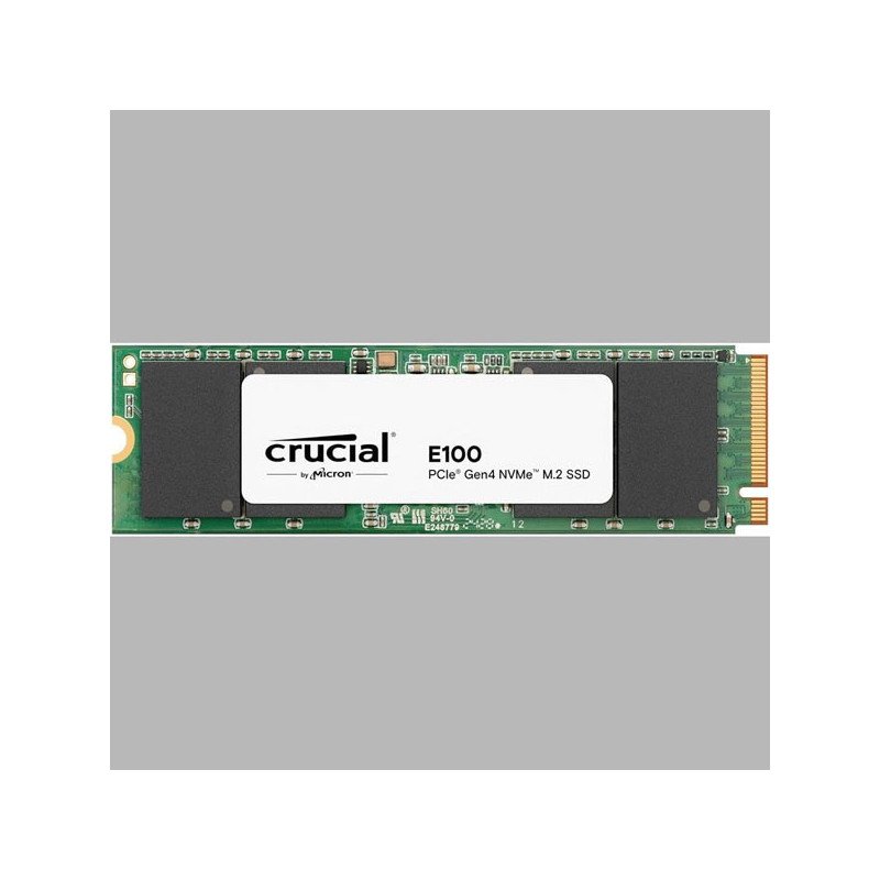CRUCIAL E100 480G Gen4 2280 Tray