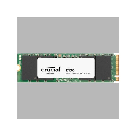 CRUCIAL E100 480G Gen4 2280 Tray