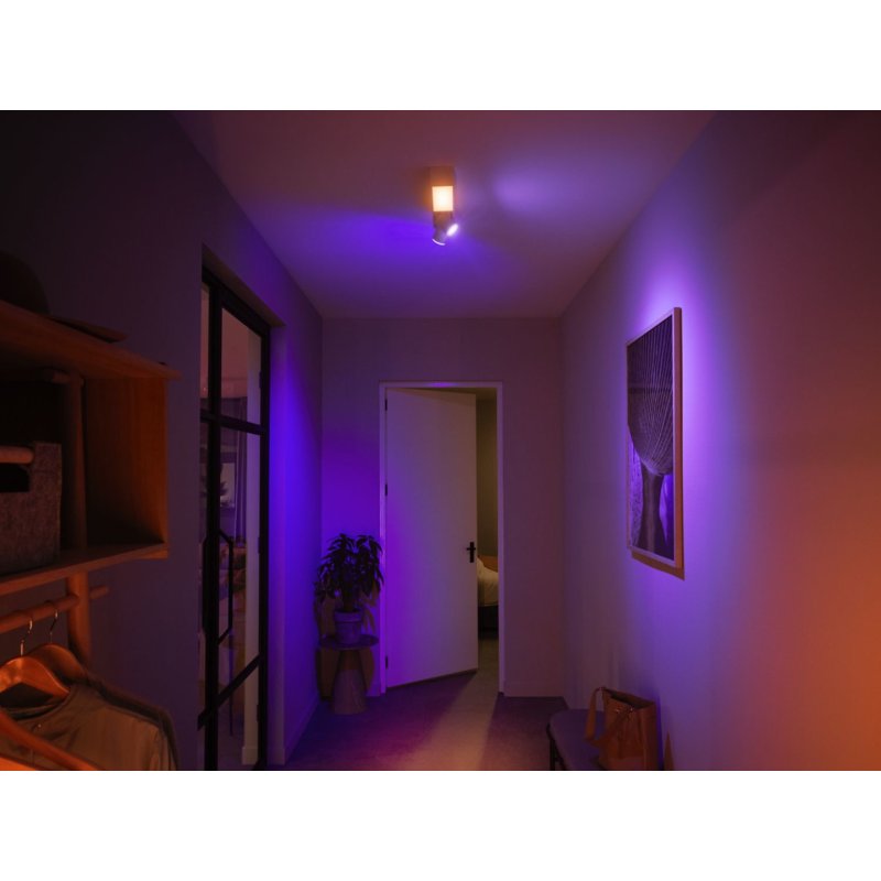 Philips Hue White & Col. Amb. Centris Spot 2 flg. weiß V2