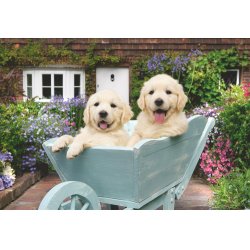 Ravensburger - Golden Retriever 200p Ad - (12001368)