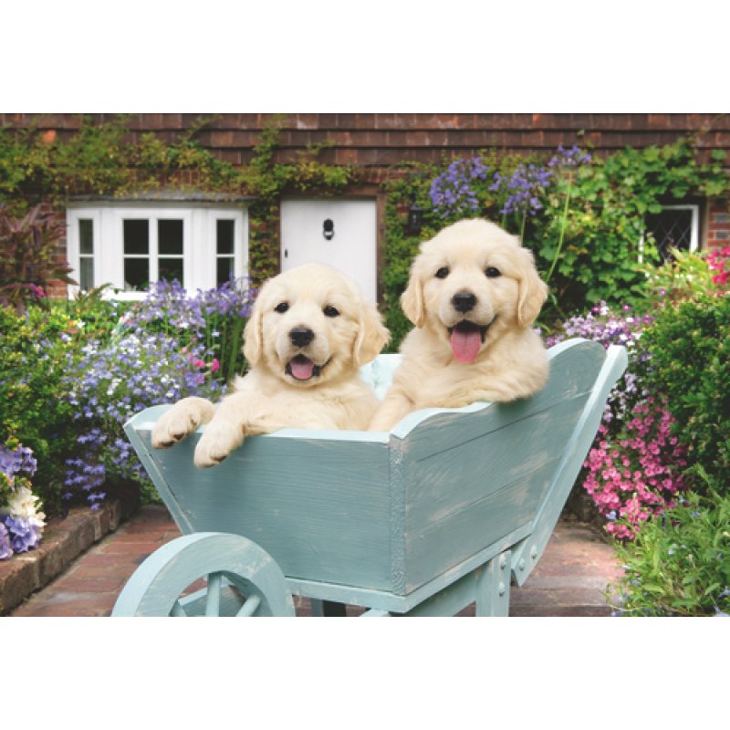 Ravensburger - Golden Retriever 200p Ad - (12001368)