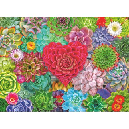 Ravensburger - Succulent Love - 500p (12001469)