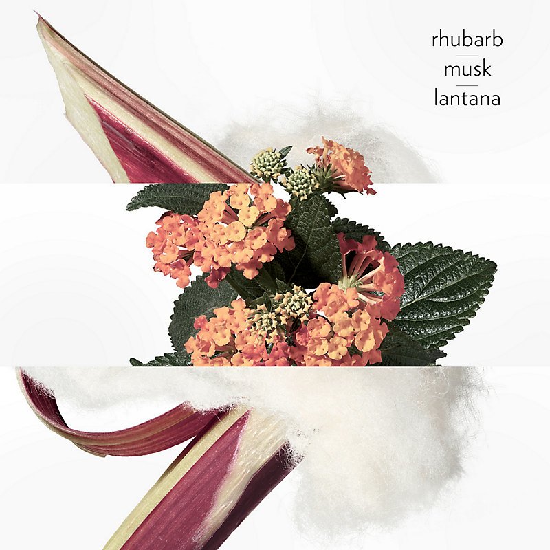 Hermes Eau De Rhubarb Ecarlate EDC Spray for Unisex 3.3 Ounce