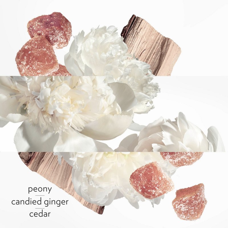 Hermes Twilly D'Hermes Eau Ginger Eau De Parfum 50ml