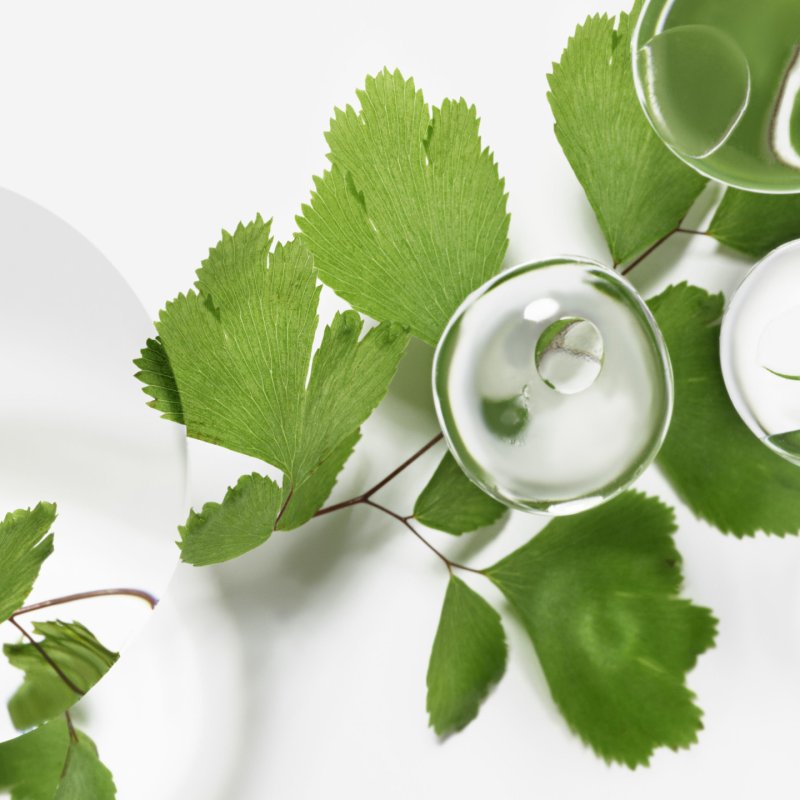 Sisley Ecological Compound Moisturizer