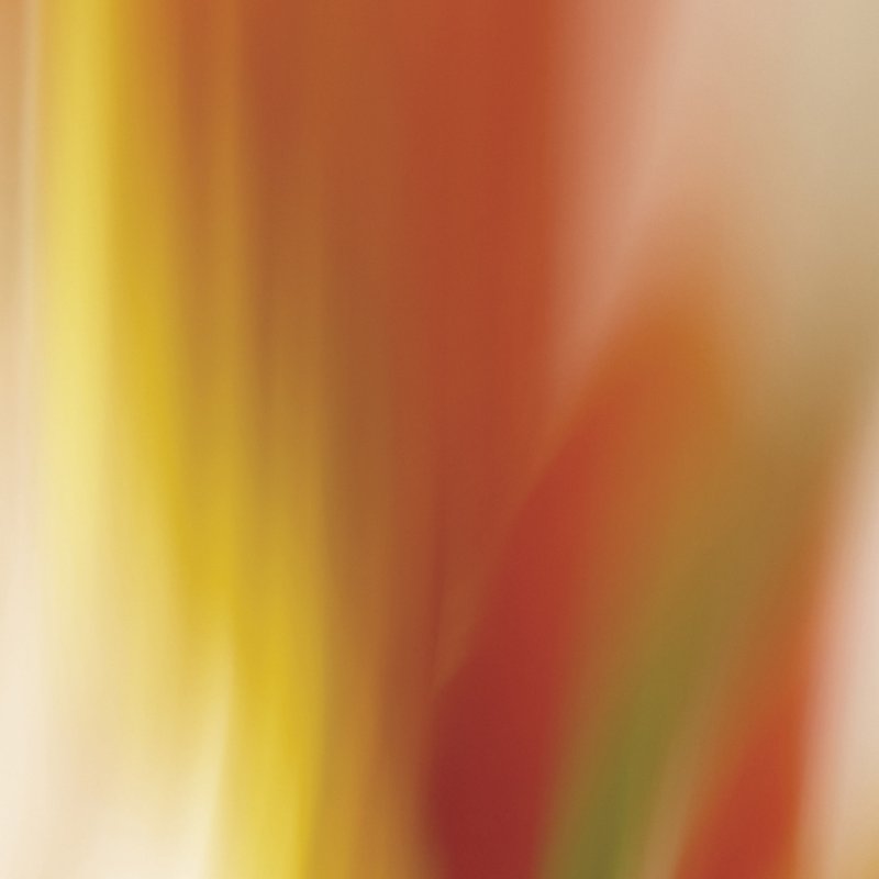 L'Eau Revee D'ISA Eau de Toilette Spray 50ml