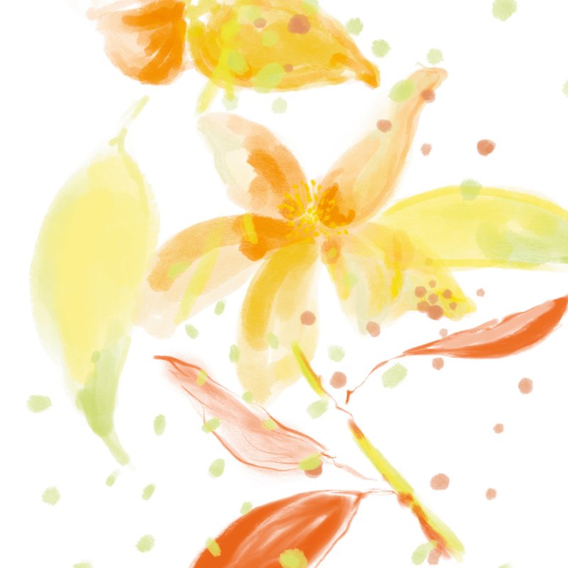 Sisley L'Eaux Rêvées D'Isa Eau De Toilette 50 ml