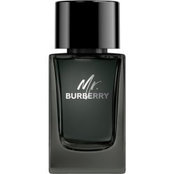 Mr Burberry Eau de Parfum Vapo 100ml