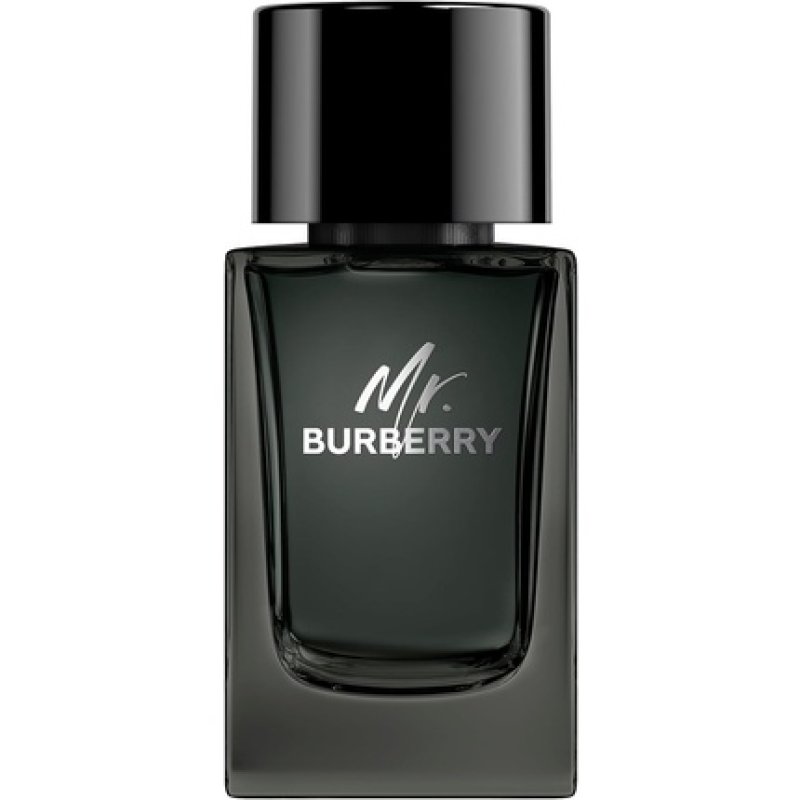 Mr Burberry Eau de Parfum Vapo 100ml
