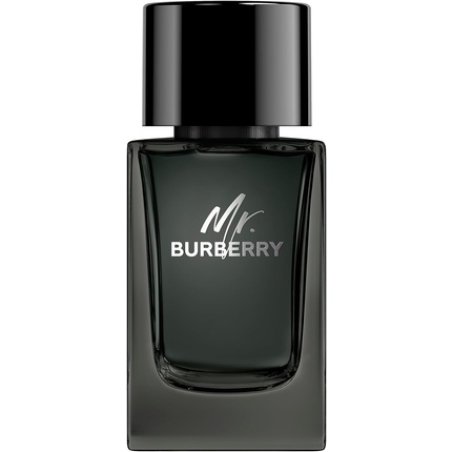 Mr Burberry Eau de Parfum Vapo 100ml