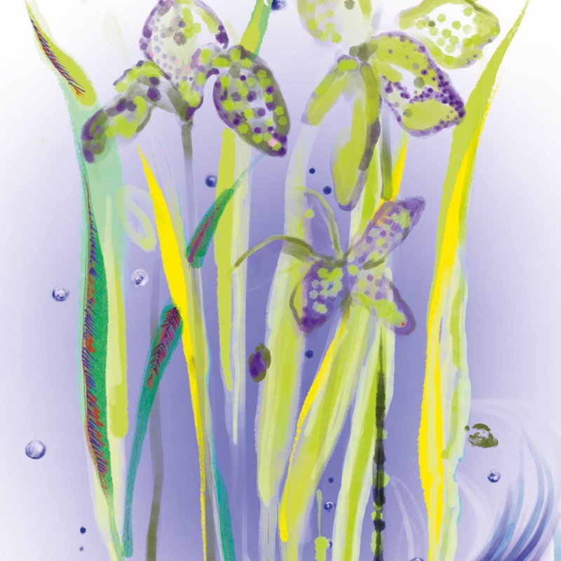 Sisley L'Eau Rêvée d’Alma 100 ml Unisexe