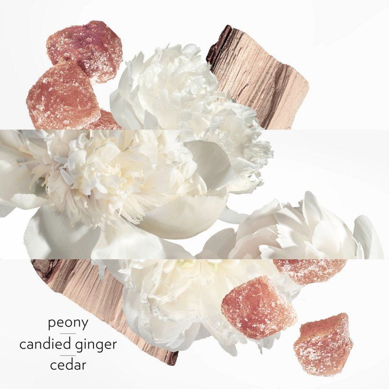 Hermes Twilly Eau Ginger Eau De Parfum 85 ml