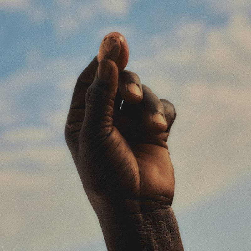 L'Occitane Shea Body Shower Cream 250 ml