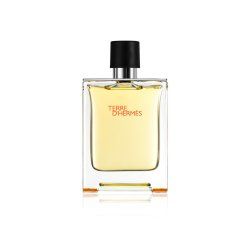 Hermes Terre d'Hermès 100ml