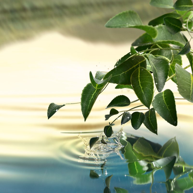 Estée Lauder Tender Light Eau De Parfum 100ml