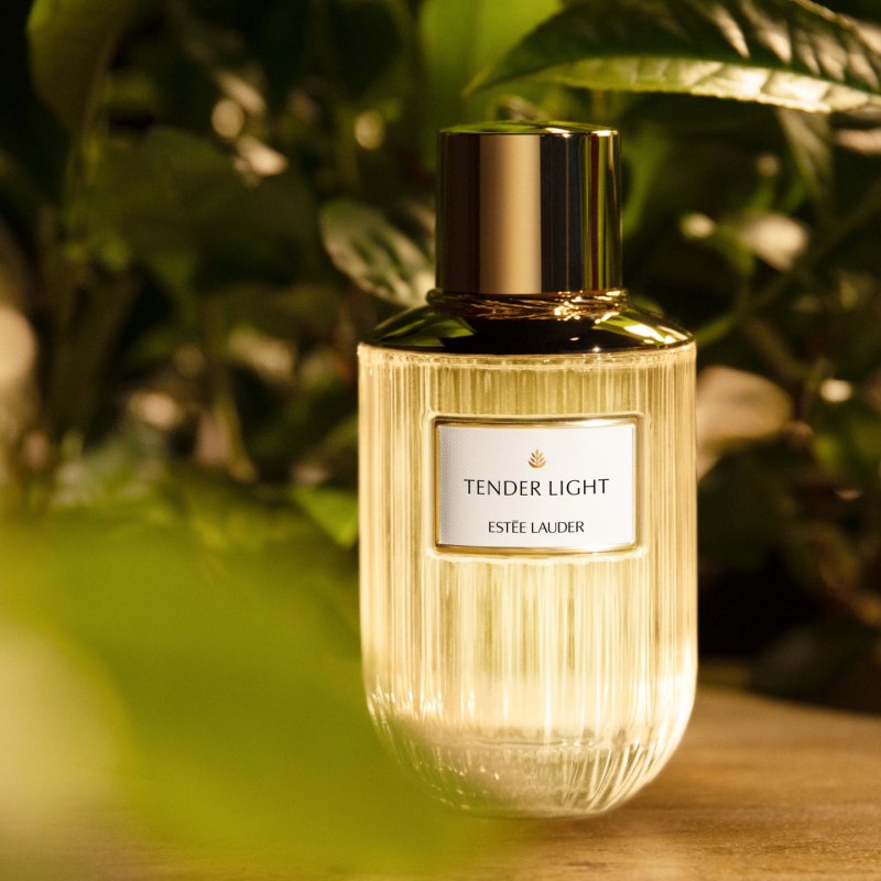 Estée Lauder Tender Light Eau De Parfum 100ml