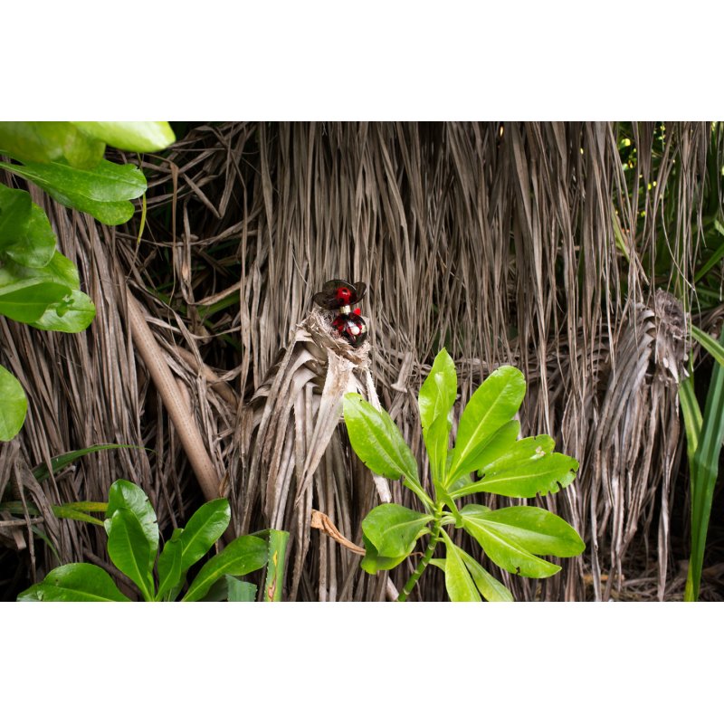 Marc Jacobs Dot 100 ml Femmes