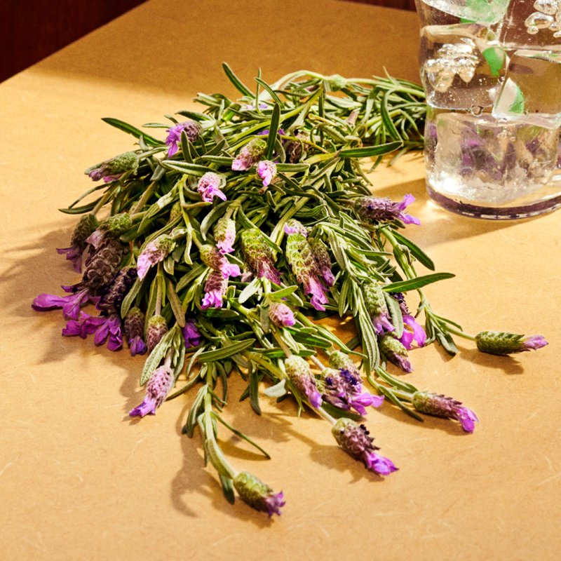 Gucci Guilty Parfum Pour Homme 50ml