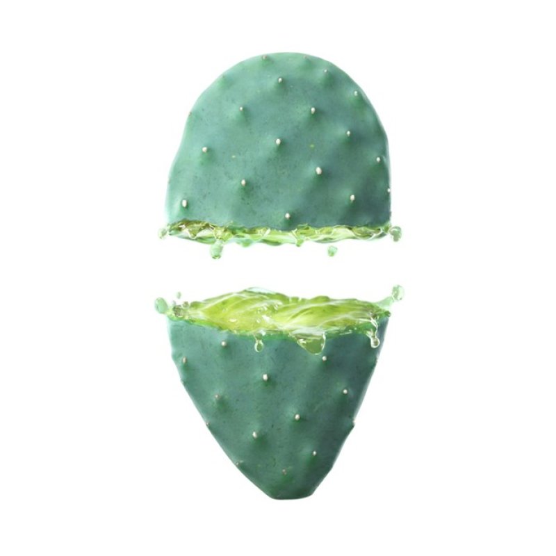 Weleda prickly pear 24h Moisturizing Day Cream 30ml