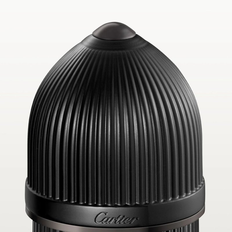 Cartier Pasha Noir Absolu 50 ml Hommes