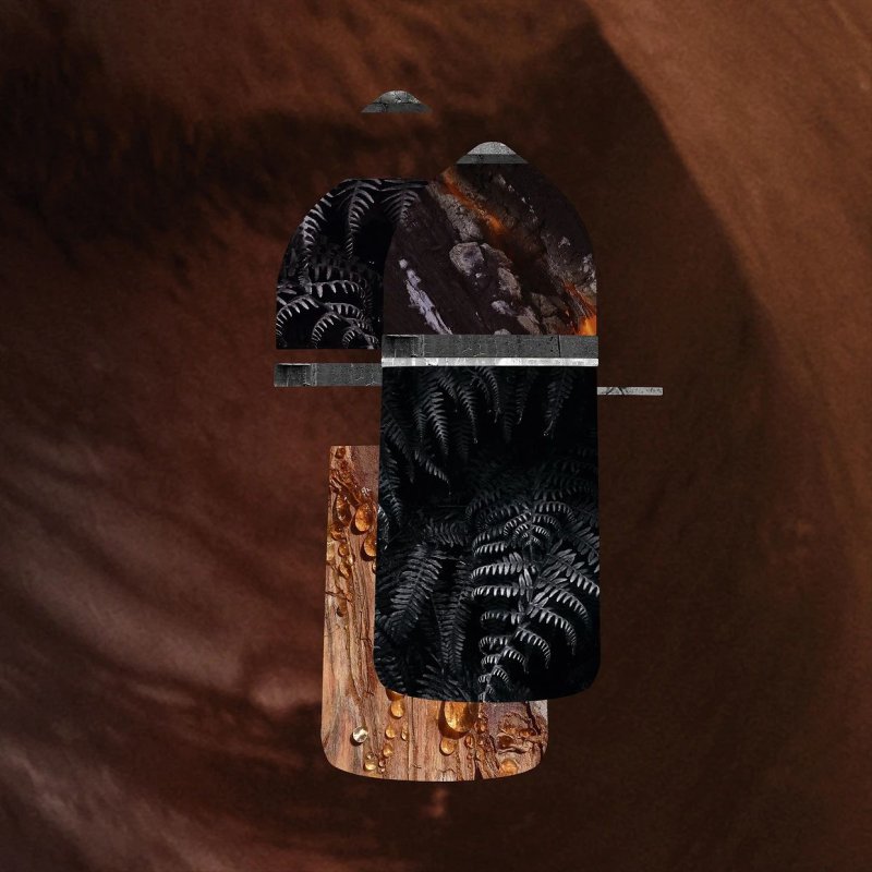 Cartier Pasha de Cartier Noir Absolute 50ml EDP Eau de Parfum