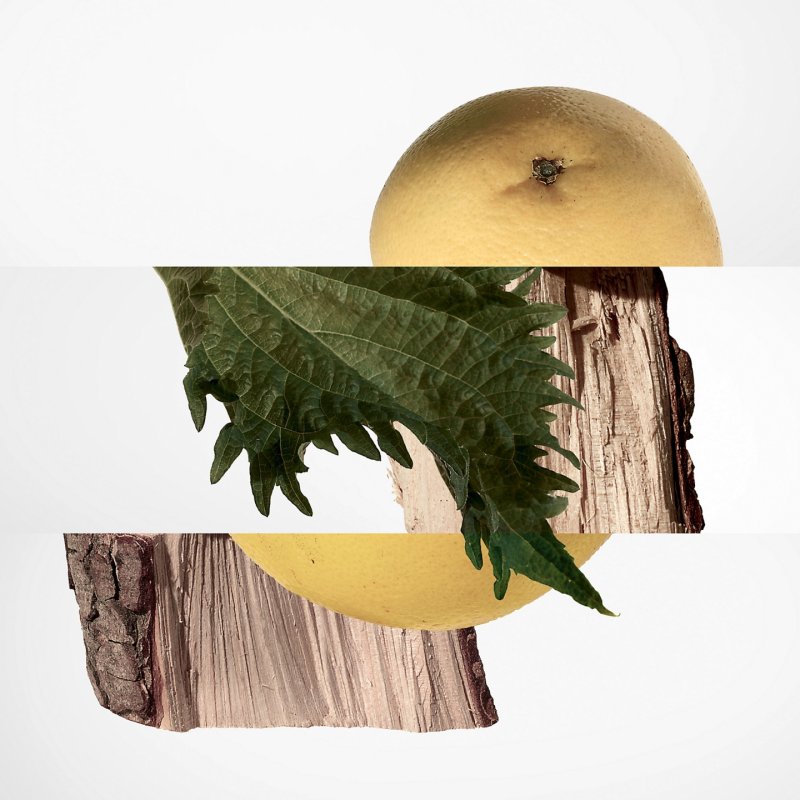 Hermes Terre D' Parfum Spray for Men 200ml