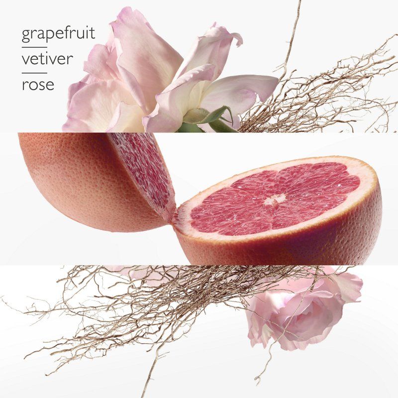 Hermes Concentré de pamplemousse rose Eau de toilette 100ml