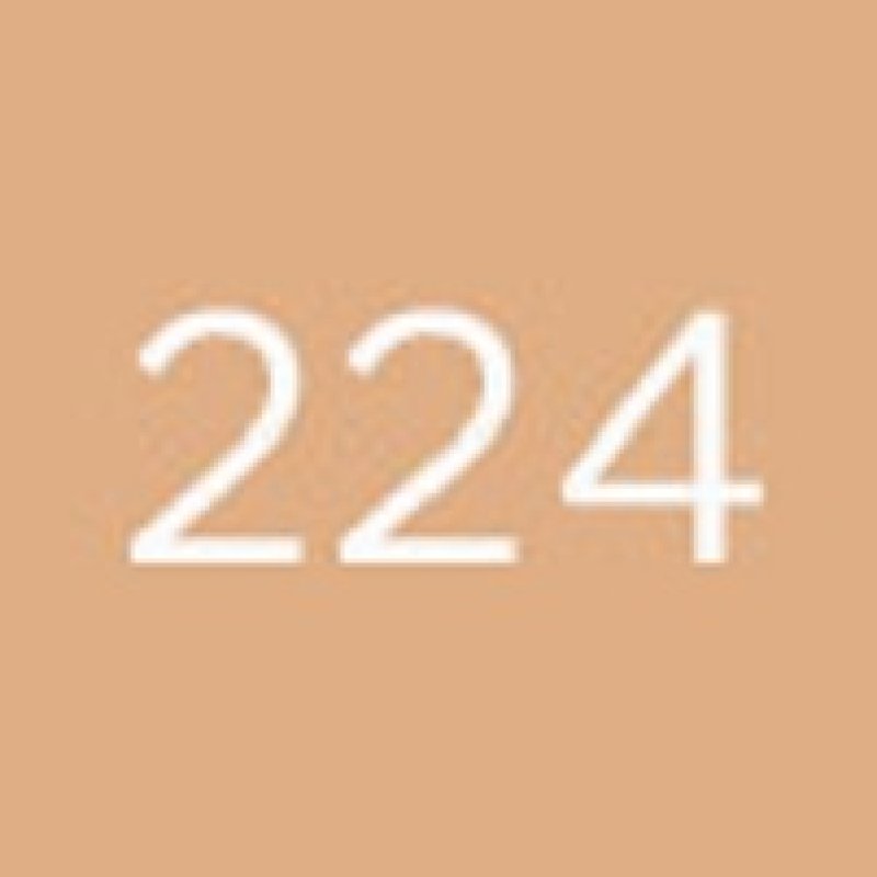 Diego Dalla Palma Foundation 210g