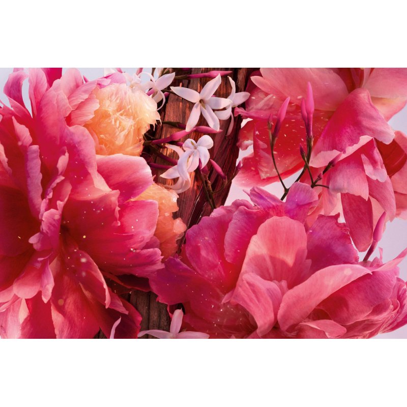 Dior Miss 35 ml Femmes