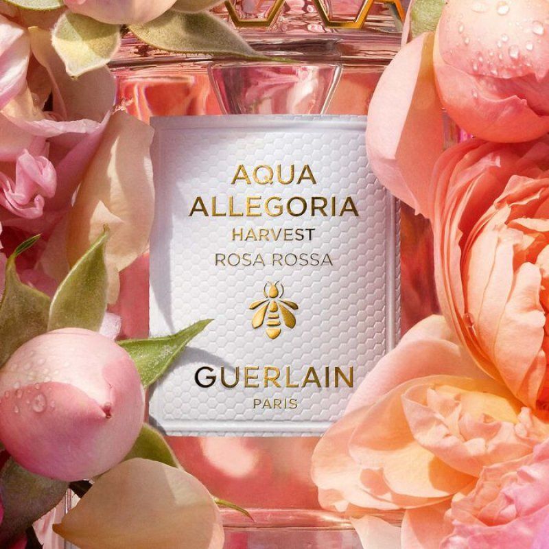 Guerlain Aqua Allegoria Harvest Rosa Rossa Eau De Toilette 125ml
