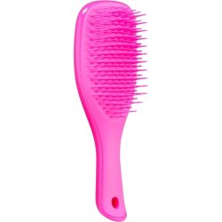 Tangle Teezer Mini The Ultimate Detangler Hairbrush Gentle on Wet Hair Two-Tiered Teeth Comfortable Handle Ideal for
