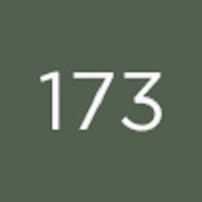 Diego dalla Palma Matt Eyeshadow ombre à paupière 173 Ever green Mat