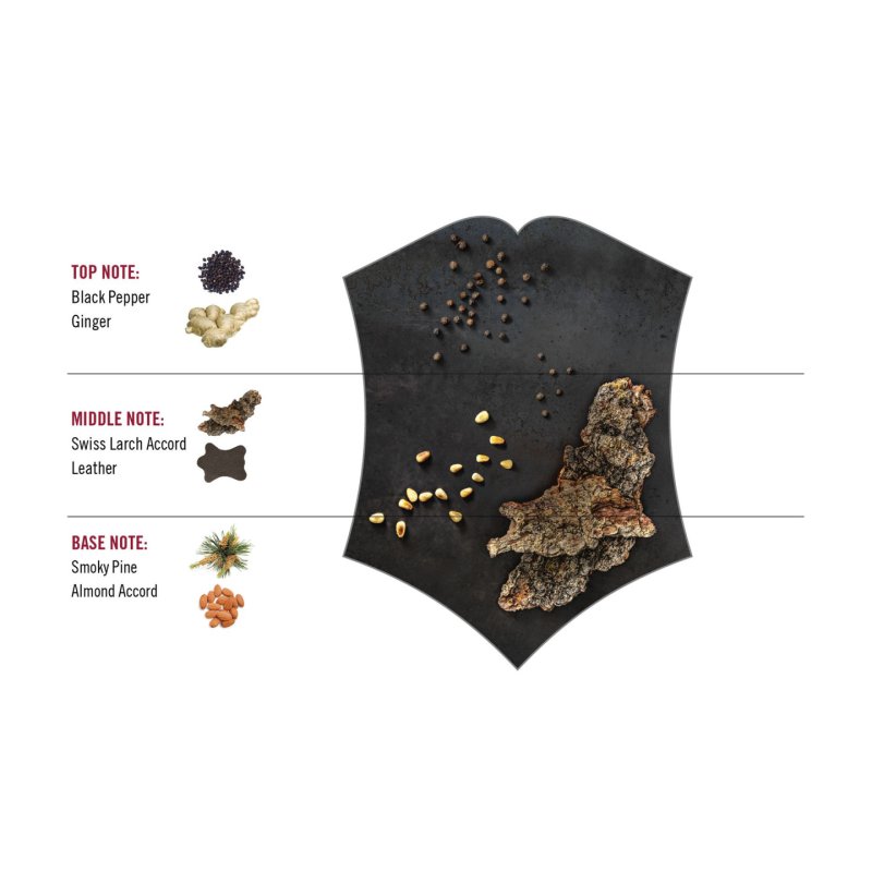 Victorinox Black Steel 100 ml Hommes