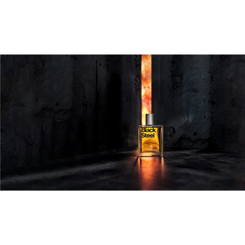 Victorinox Black Steel 100 ml Men